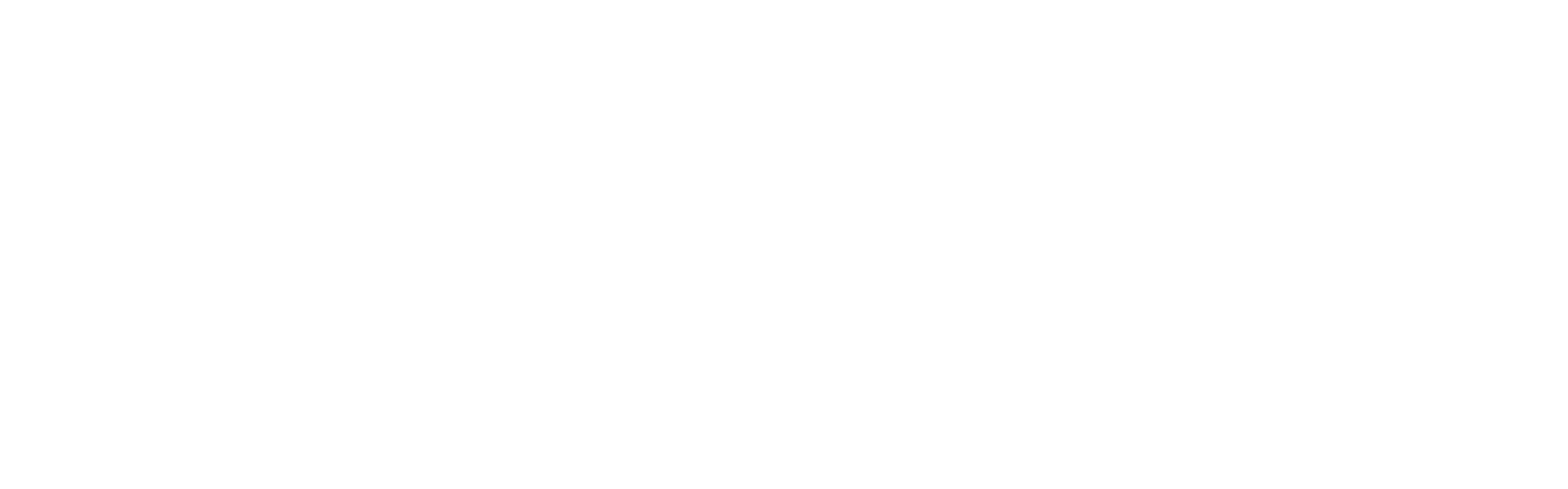 SS Çözüm